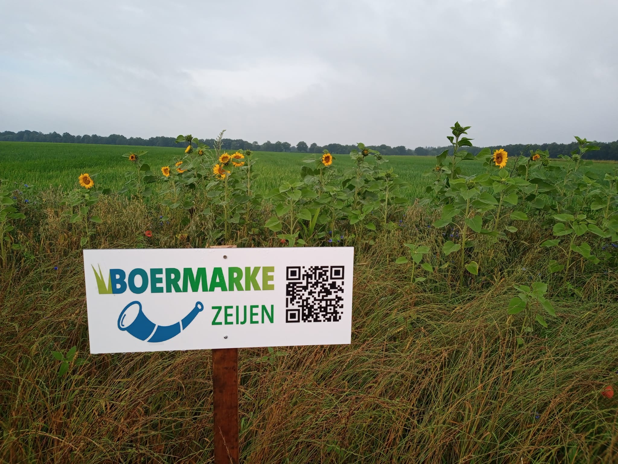 Boermarke Zeijen werkt samen met Boermarke Vries aan biodiversiteit